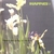 THE HAPPIES: Flowers Are Dying, By the Way