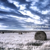 THE HORSE FLIES: Until the Ocean