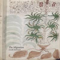 THE MIGRATION: Usually Destroyed