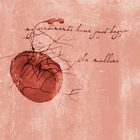 THE MOLLIES: My Sentiments Have Just Begun