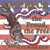 STEVE SMITH & THE NAKEDS: CD SINGLE - America The Proud, The Free