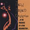 THE NEW BREED ORCHESTRA: ..in the presence of a Funk Resurrection