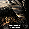 The Reflectors: Hola, Sayulita!