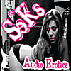 The Seks: Audio Erotica