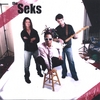 THE SEKS: EP