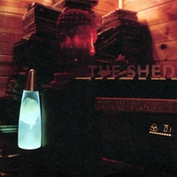 THE SHED: What Are You Listening to Lately?