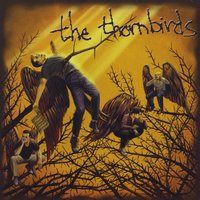 The Thornbirds : All The Same