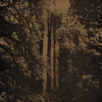The Tunnel : Carver Brothers Lullaby