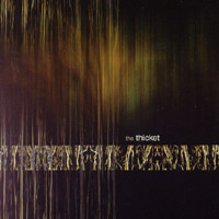 The Thicket : The Thicket
