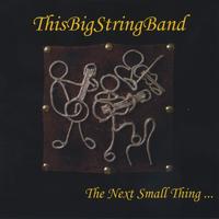 This Big String Band : The Next Small Thing...