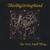 THIS BIG STRING BAND: The Next Small Thing...