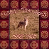 Thomas Floyd Riggs: Spirit Eyes