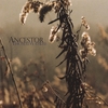 THOMAS WATKISS: Ancestor Ep