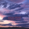 THOMAS YAZVAC: Spatial Dreams