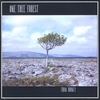 THOM DRONEY: One Tree Forest