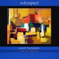 Introspect by David Thompson