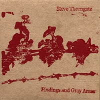 Steve Thorngate : Findings and Gray Areas