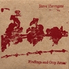 STEVE THORNGATE: Findings and Gray Areas