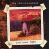 THE THRILLHAMMERS: Long Story Short