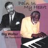 BIG WALTER THE THUNDERBIRD: Pain In My Heart