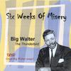 BIG WALTER THE THUNDERBIRD: Six Weeks Of Misery
