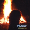 TIFFANY SHEA: Phoenix
