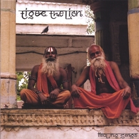 Tiger the Lion : Healing Songs