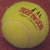 TIGER THE LION: Roger (Betterer)