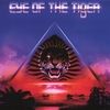 TIGER TIGER: Eye Of The Tiger