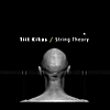 Tiit Kikas: String Theory