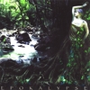 TILIA WEEVERS: Epokalypse