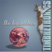Timbretronics : The Big Picture