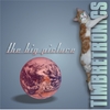 TIMBRETRONICS: The Big Picture