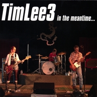 TimLee3 : in the meantime...