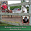 Tim Lafleche: Welcome to Country Music Done Our Way
