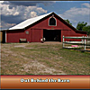 Tim Lafleche: Out Behind The Barn