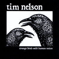 tim nelson : strange birds with human voices
