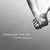TIMOTHY BOWMAN: Never Let You Go