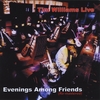 Tim Williams: Tim Williams Live - Evenings Among Friends