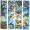 TINA G SACCHI: Serenity-A Suite of Four Guided Imagery Meditations