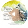 TINAMOU: The Bird Runs