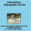 TINO ROZZO: Dreaming Swan