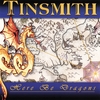TINSMITH: Here Be Dragons