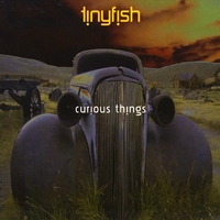 Tinyfish : Curious Things