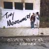 TINY MONTGOMERY: dirty street corner