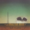 THE INCREDIBLE STEEL ERECTORS: Bull Muzika