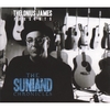 T.J. SULLIVAN: Thelonius James Presents The Sunland Chronicles