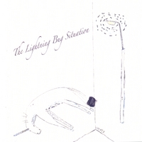 THE LIGHTNING BUG SITUATION: The Lightning Bug Situation