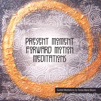Teresa Marie Bloom : Present Moment Forward Motion Meditations