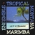 TROPICAL MONTANA MARIMBA ENSEMBLE: Live at the O'Shaughnessy